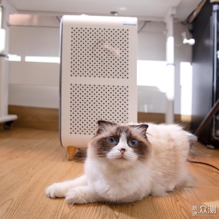 養貓家庭的守護神器--舒樂氏寵物空氣淨化器_新浪眾測