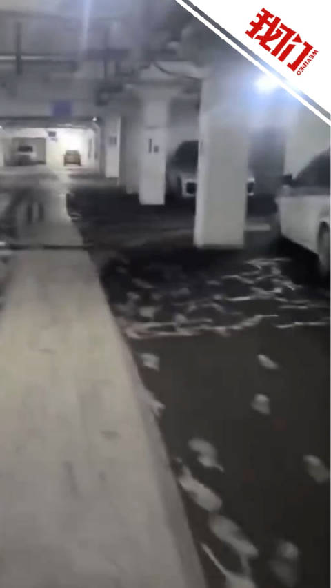 男子因情感纠纷在车库纵火