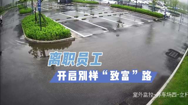 男子离职偷公司焊带