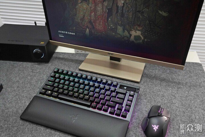 蛛皇駕到,雷蛇黑寡婦蜘蛛V4無線專業版75%_新浪眾測