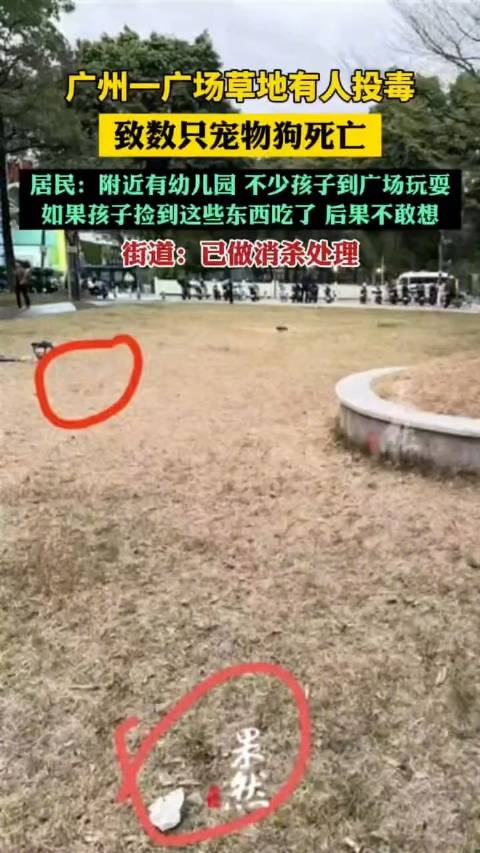 广州一草地疑被投毒