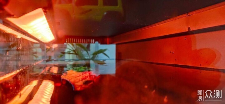 新手養魚選當貝，AI智養省心省力更科學！_新浪眾測