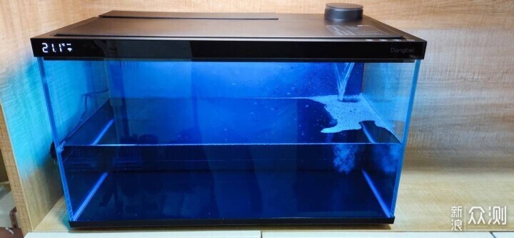 新手養魚選當貝，AI智養省心省力更科學！_新浪眾測