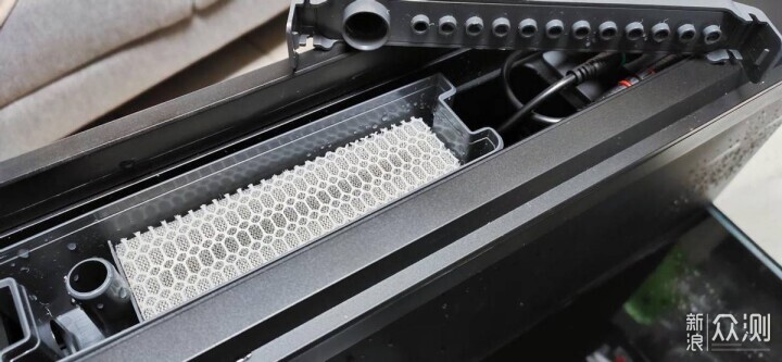 新手養魚選當貝，AI智養省心省力更科學！_新浪眾測