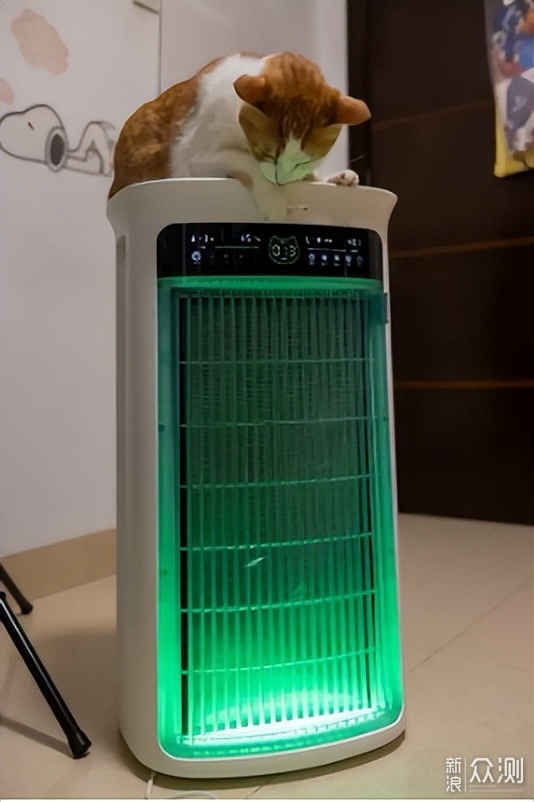 消滅養寵痛點,舒樂氏UMI空氣淨化器體驗_新浪眾測