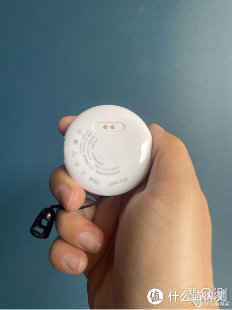 跑者用Lepod pro心電記錄儀監測心電全記錄_新浪眾測