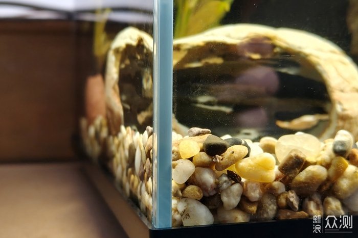 當貝智能魚缸1 Ultra：懶人養魚新選擇！_新浪眾測