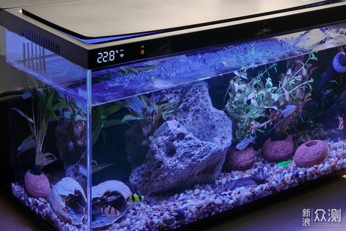 當貝智能魚缸1 Ultra：懶人養魚新選擇！_新浪眾測
