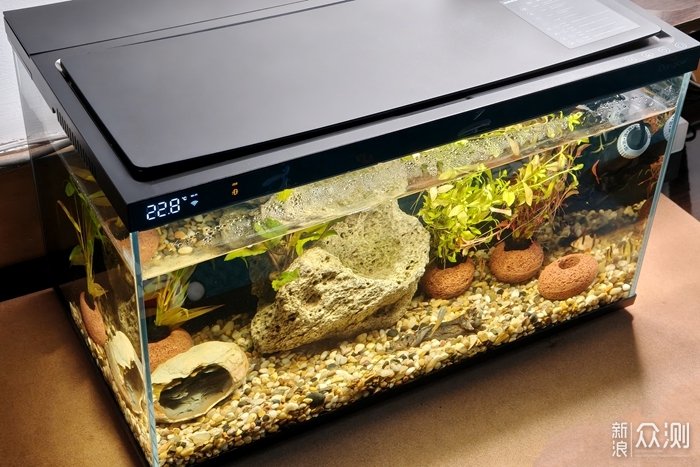 當貝智能魚缸1 Ultra：懶人養魚新選擇！_新浪眾測