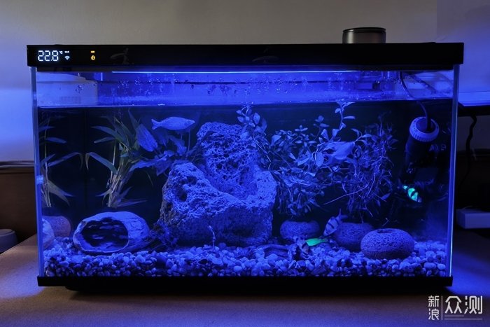 當貝智能魚缸1 Ultra：懶人養魚新選擇！_新浪眾測