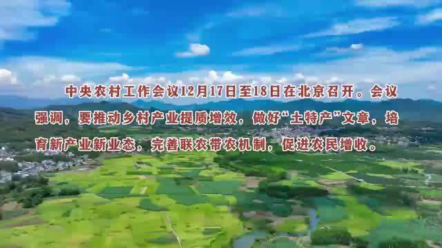 总书记关心的“土特产” 连着乡村振兴的大事业