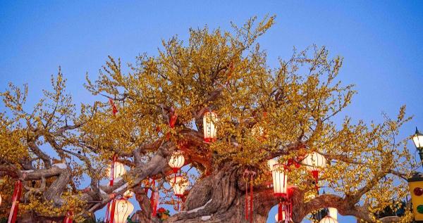 北京环球度假区“环球中国年”启幕 新春特别演出回归