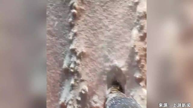 车主返乡因雪被困12小时