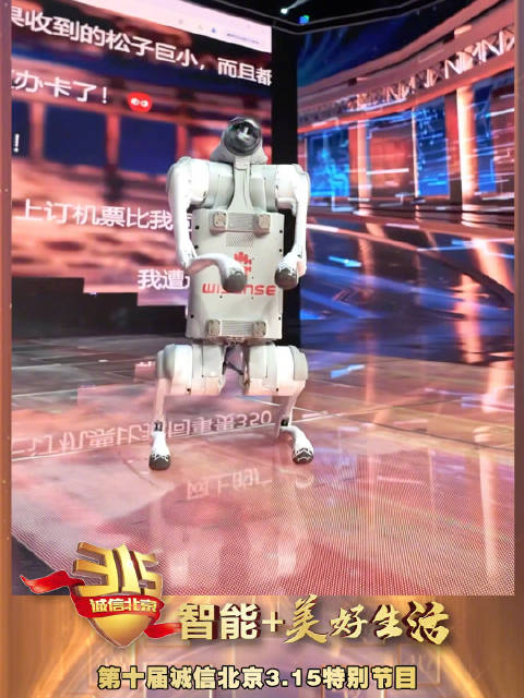 机器狗亮相 机器狗迎宾八大技能你get到了吗？科技盛宴精彩纷呈！