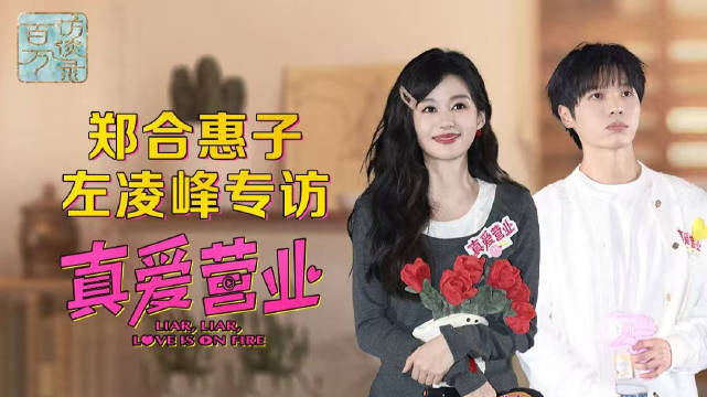 郑合惠子说和左凌峰搭档很有安全感