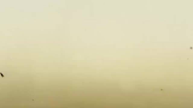 沙尘暴袭击美国新墨西哥州