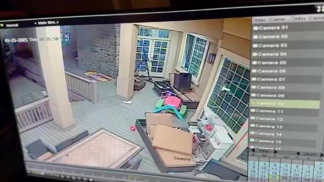 美国球星家中遭入室抢劫