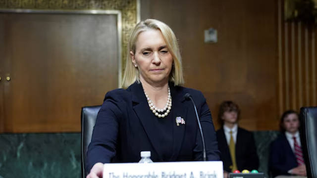 美国驻乌克兰大使将辞职