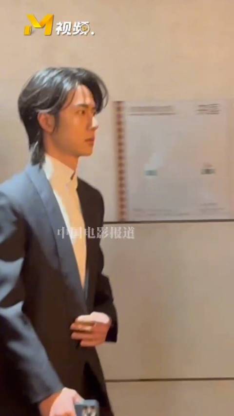 王一博华表奖红毯造型7秒大赏