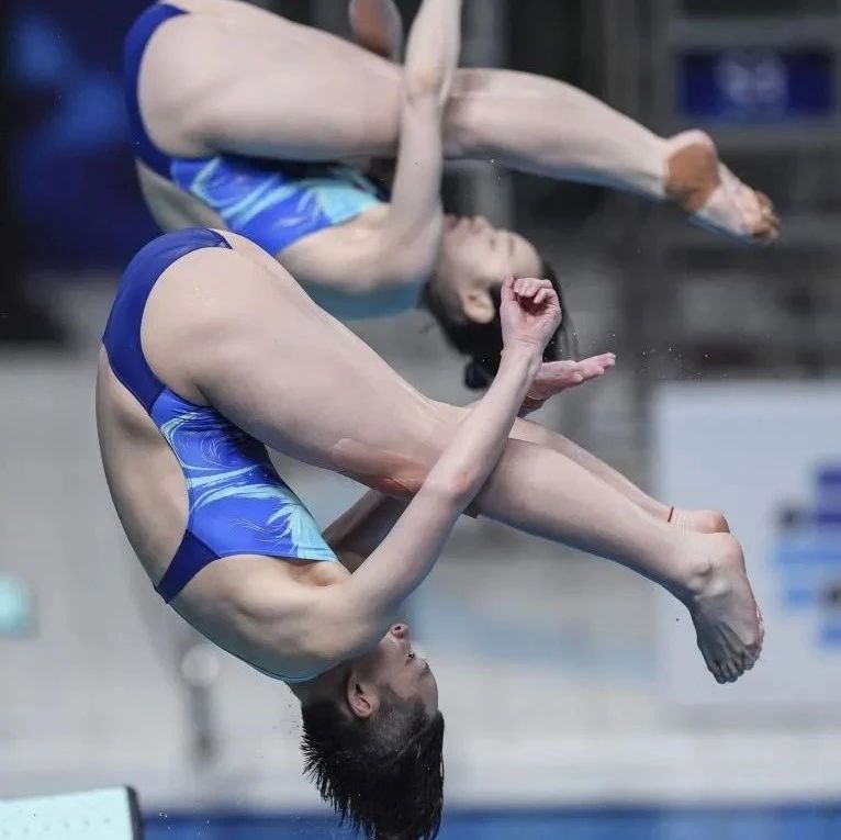 跳水世界杯总决赛| 陈艺文/昌雅妮女双三米板摘金 胡宇康/郑九源男双三米板折桂