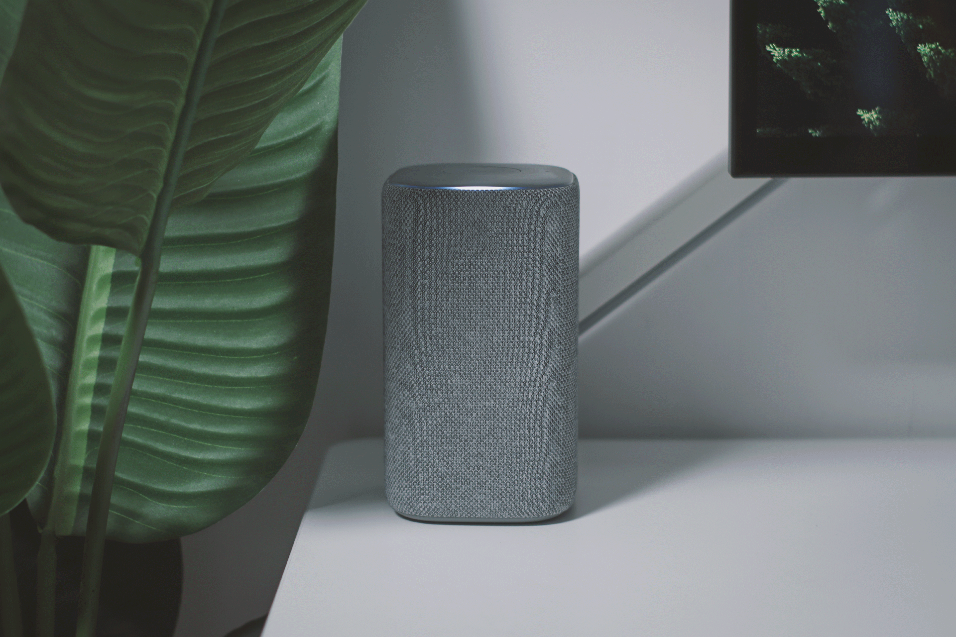 聽我的,小愛音箱買這款|淺聊Xiaomi智能音箱_新浪眾測