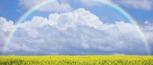 吐血整理丨基金定投必懂的8件事，看完再投不踩雷