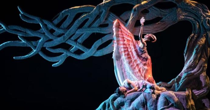 朱洁静：做一个有灵魂的舞者，做一个传递美的天使，是她未被辜负的艺术信条