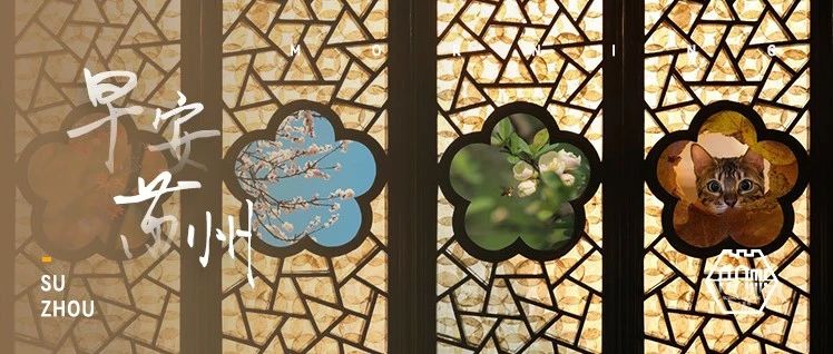 明天12:18，抢票！