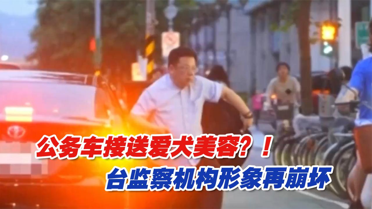 公务车接送爱犬美容？！台监察机构形象再崩坏