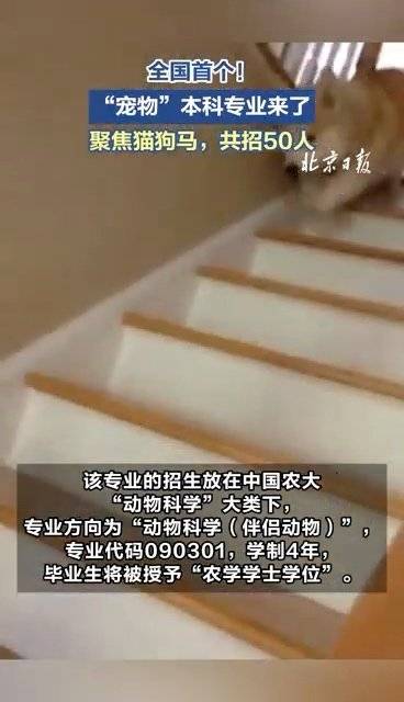 全国首个宠物本科专业