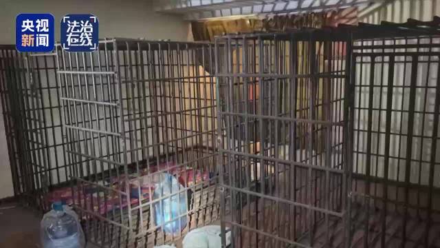 关铁笼、剁手指、强迫卖淫 电诈回流人员讲述缅北噩梦