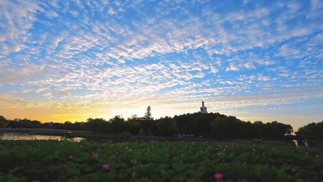 北京晚霞给白塔披上了绝美皮肤