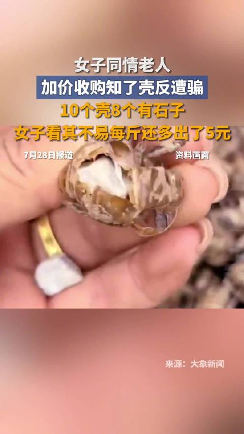 女子收知了壳被骗