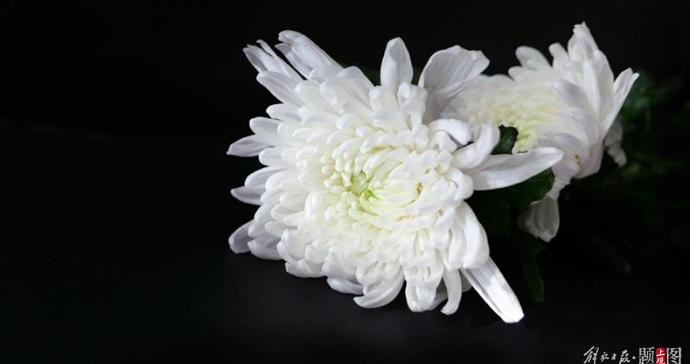 中国东方歌舞团原副团长马海莹逝世，系著名作曲家马可之女