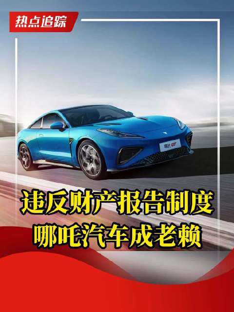 违反财产报告制度 哪吒汽车 成老赖
