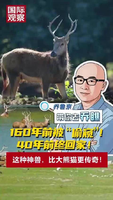 160年前被“偷窥”！ 40年前终回家！ 这种神兽比大熊猫更传奇！