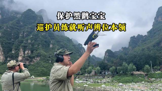 巡护员练就听声辨位本领保护黑鹳