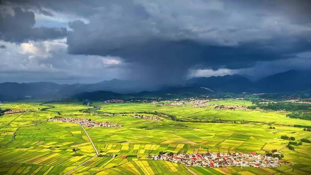 云南芒市稻浪与彩虹同框