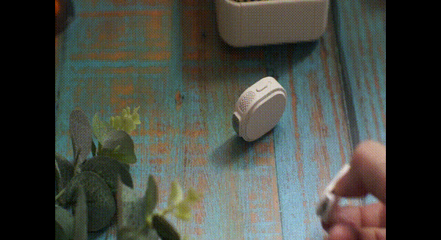 開學季老師喊話不用愁，就用西聖BEE。_新浪眾測