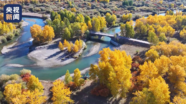 一年四季都出片的阿勒泰