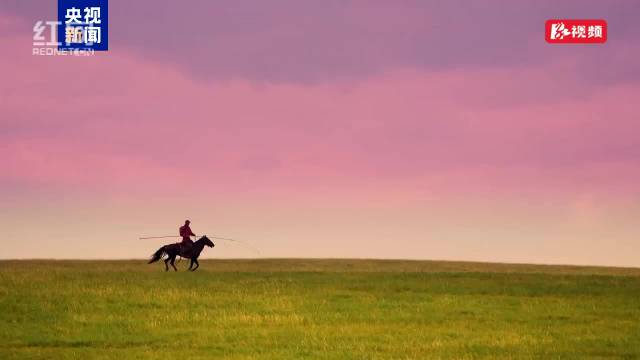 当晚霞与草原相遇 限定秋景骏马奔腾每一帧都惊艳