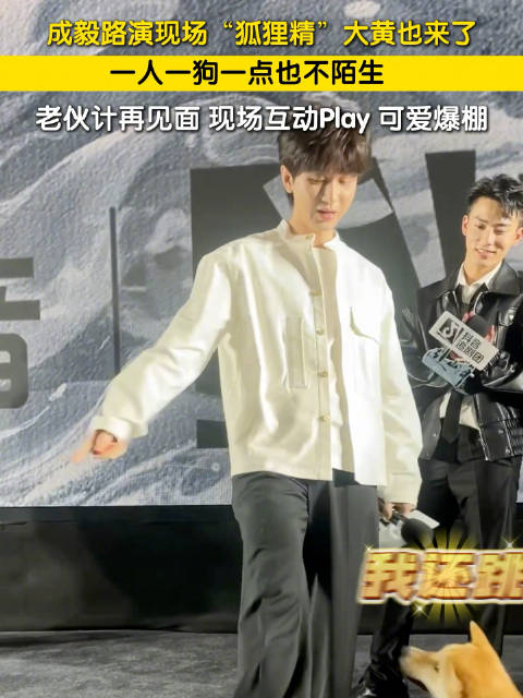 成毅路演现场狐狸精大黄也来了