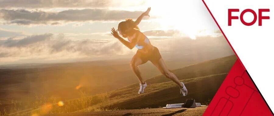 来自《灌篮高手》的启迪：在投资中享受快乐