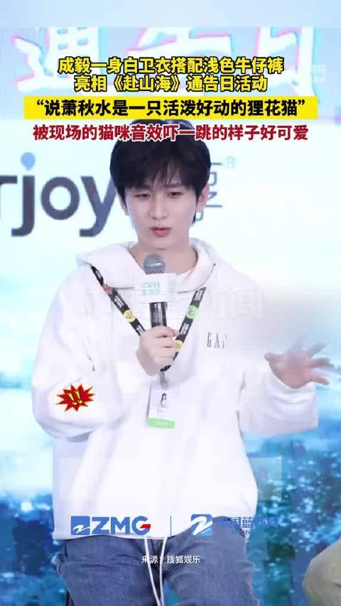 成毅说萧秋水是一只活泼好动的狸花猫