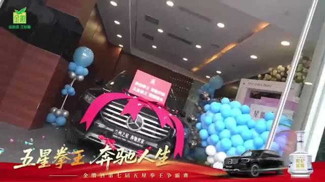 视频|金徽酒第七届五星拳王争霸赛陇南赛区总决赛冠军喜提奔驰