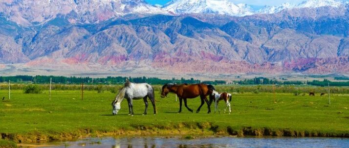 请查收！这封跨越20载的“山海情书”！