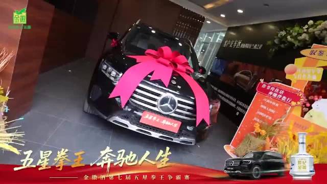 视频|金徽酒第七届五星拳王争霸赛陇东赛区总决赛圆满举办