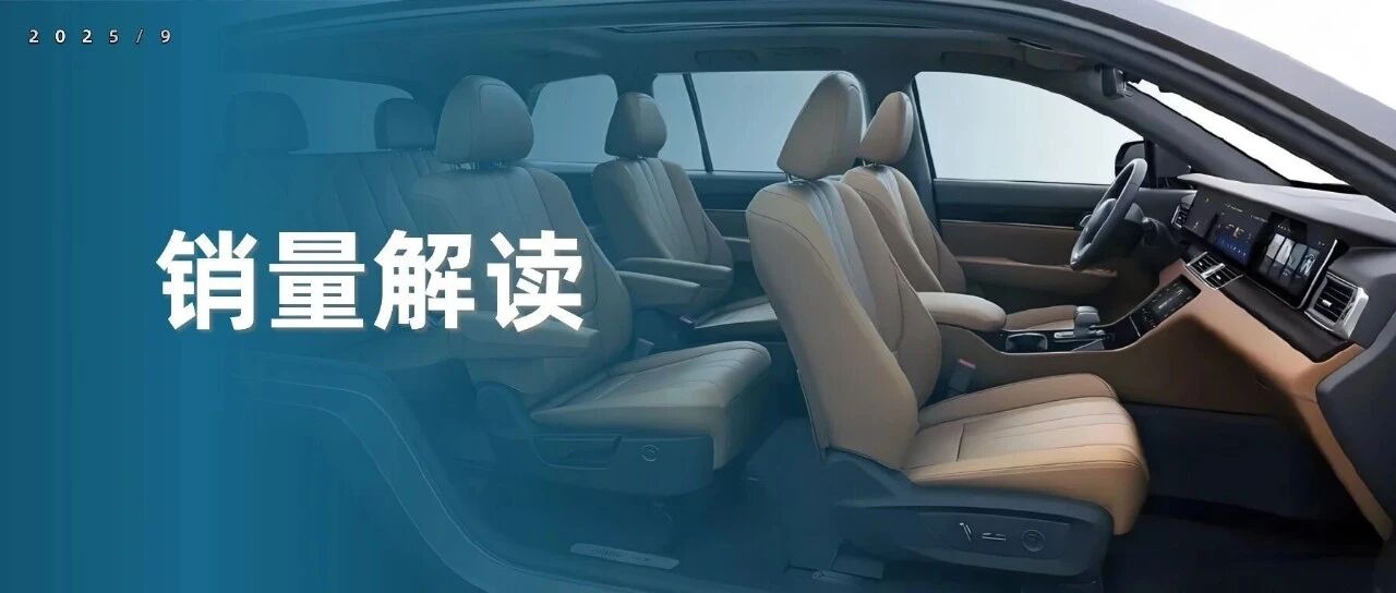 大六/七座SUV：2025年9月细分市场统计和车型点评