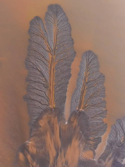 钱塘江潮水像画一幅水墨画