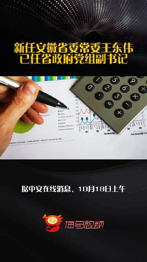 新任安徽省委常委王东伟已任省政府党组副书记